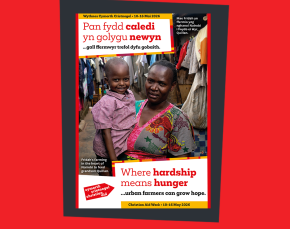  Collection envelope - Wales thumbnail