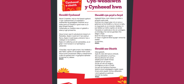 Harvest 25 UK prayer pack (Welsh) thumbnail 