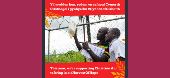 Harvest 2025 UK image 2 - Bilingual thumbnail