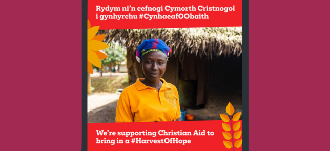 Harvest 2025 UK image 3 - Bilingual thumbnail