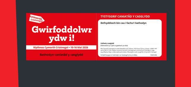 Welsh language collector's badge thumbnail